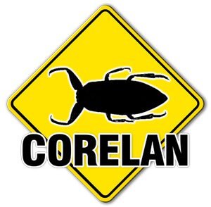 Corelan