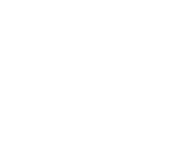 Real Security